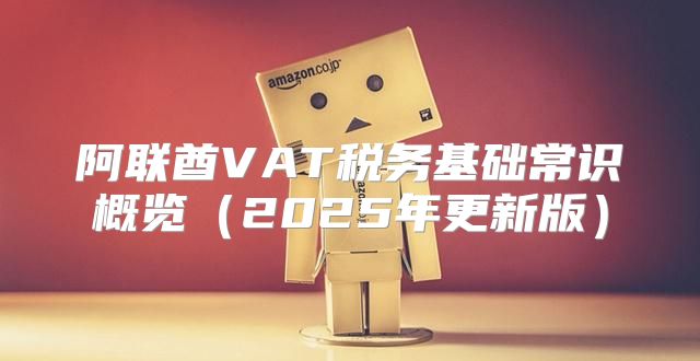 阿联酋VAT税务基础常识概览2025年更新版