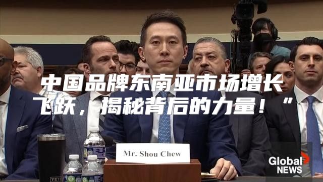 中国品牌东南亚市场增长飞跃，揭秘背后的力量！”