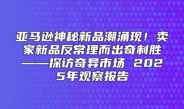 亚马逊神秘新品潮涌现！卖家新品反常理而出奇制胜——探访奇异市场 2025年观察报告
