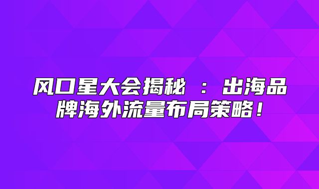 风口星大会揭秘③：出海品牌海外流量布局策略！