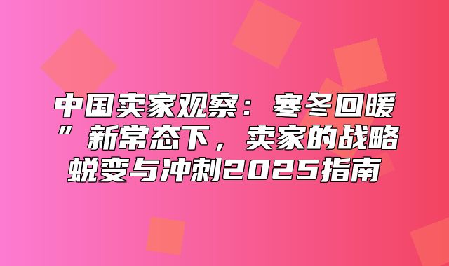 中国卖家观察：寒冬回暖”新常态下，卖家的战略蜕变与冲刺2025指南