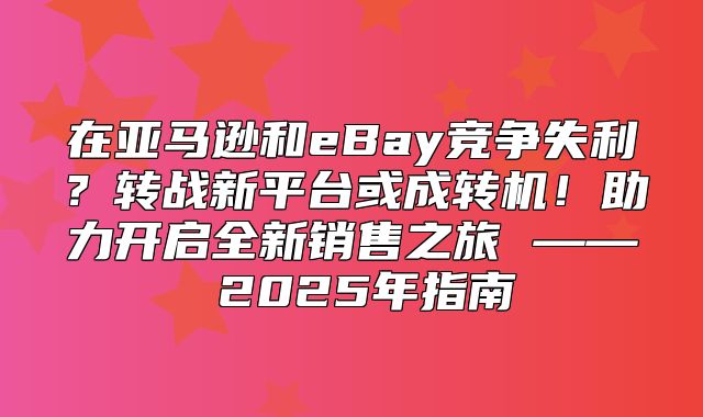 在亚马逊和eBay竞争失利？转战新平台或成转机！助力开启全新销售之旅 —— 2025年指南