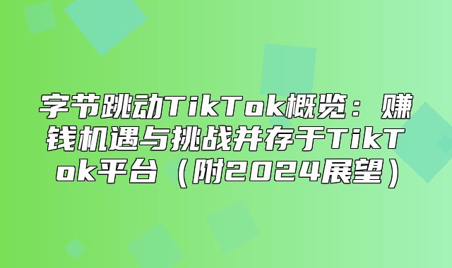 字节跳动TikTok概览：赚钱机遇与挑战并存于TikTok平台附2025展望