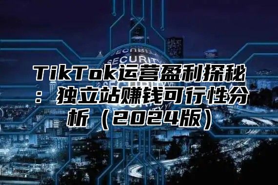 TikTok运营盈利探秘：独立站赚钱可行性分析2025版