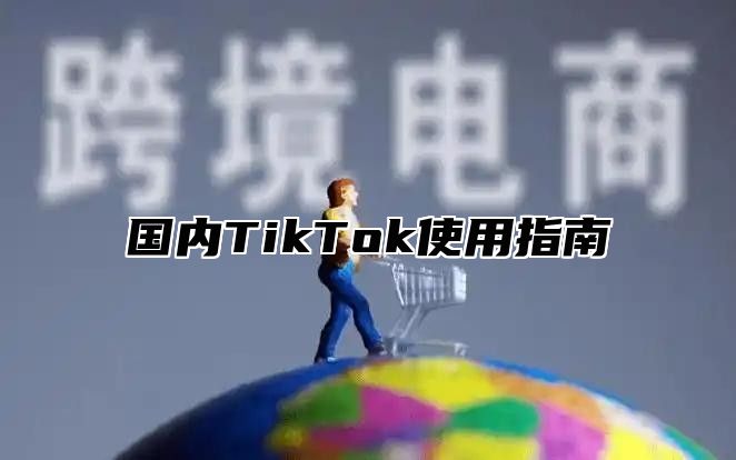 国内TikTok使用指南