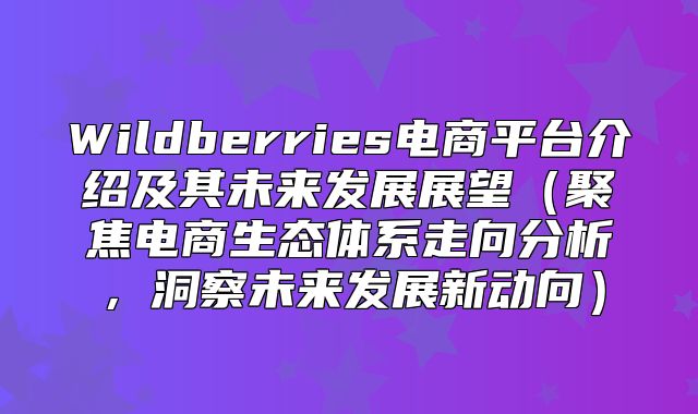 Wildberries电商平台介绍及其未来发展展望聚焦电商生态体系走向分析，洞察未来发展新动向