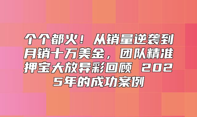 个个都火！从销量逆袭到月销十万美金，团队精准押宝大放异彩回顾 2025年的成功案例