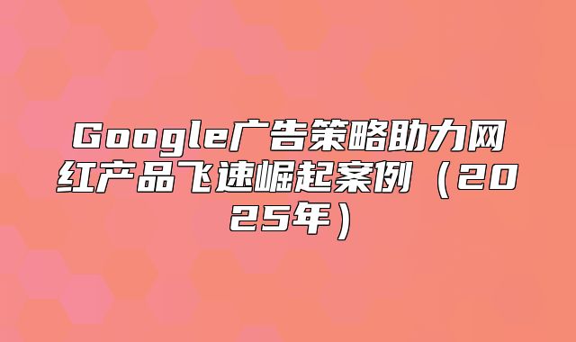 Google广告策略助力网红产品飞速崛起案例2025年