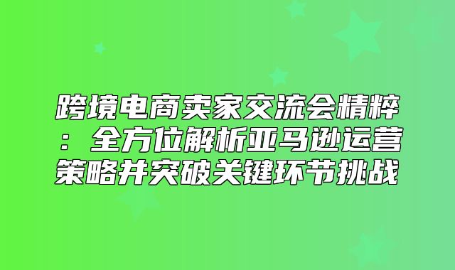跨境电商卖家交流会精粹：全方位解析亚马逊运营策略并突破关键环节挑战