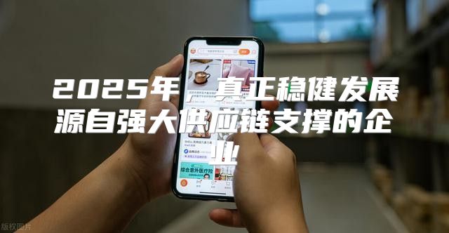 2025年，真正稳健发展源自强大供应链支撑的企业