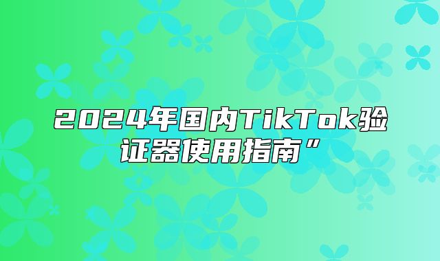 2025年国内TikTok验证器使用指南”