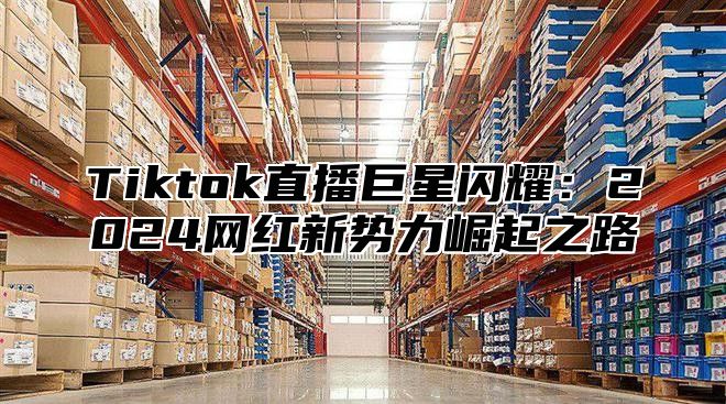 Tiktok直播巨星闪耀：2025网红新势力崛起之路