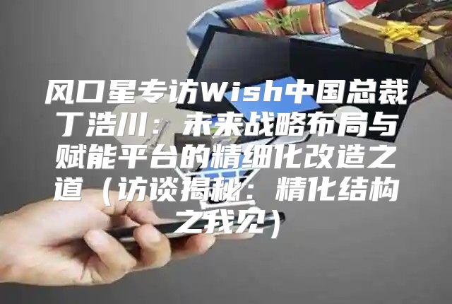 风口星专访Wish中国总裁丁浩川：未来战略布局与赋能平台的精细化改造之道访谈揭秘：精化结构之我见