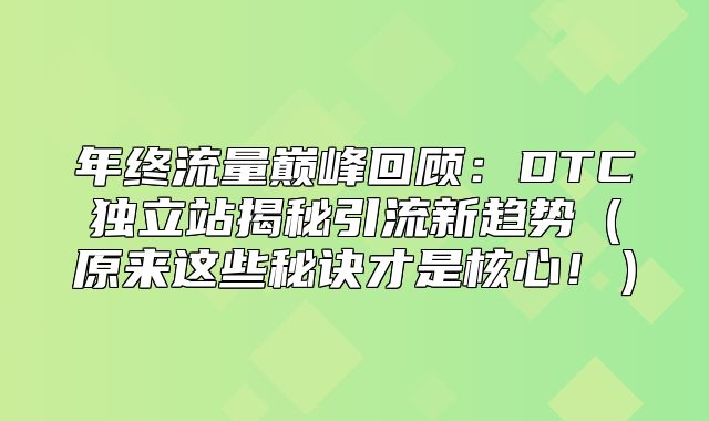 年终流量巅峰回顾：DTC独立站揭秘引流新趋势原来这些秘诀才是核心！