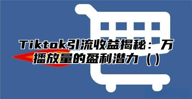 Tiktok引流收益揭秘：万播放量的盈利潜力