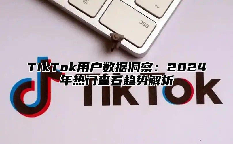 TikTok用户数据洞察：2025年热门查看趋势解析