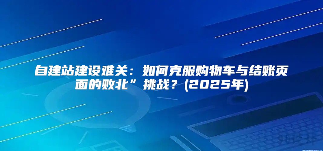 自建站建设难关：如何克服购物车与结账页面的败北”挑战？(2025年)