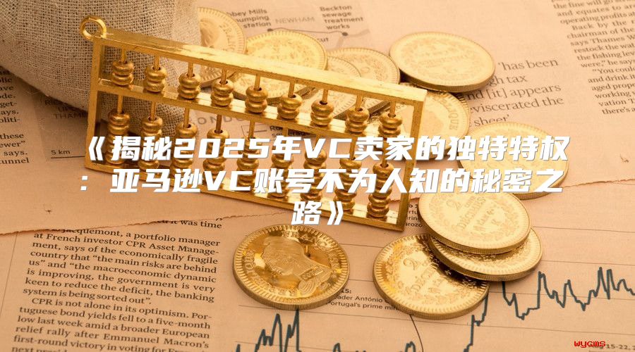 揭秘2025年VC卖家的独特特权：亚马逊VC账号不为人知的秘密之路