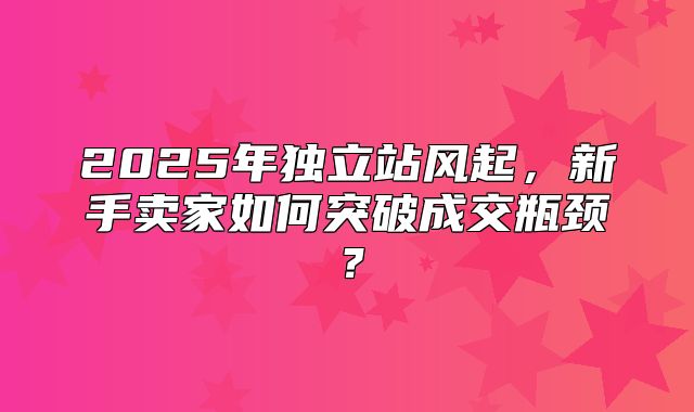 2025年独立站风起，新手卖家如何突破成交瓶颈？