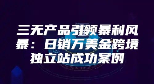 三无产品引领暴利风暴：日销万美金跨境独立站成功案例