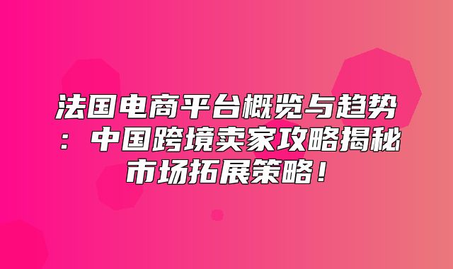 法国电商平台概览与趋势：中国跨境卖家攻略揭秘市场拓展策略！