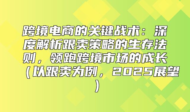 跨境电商的关键战术：深度解析跟卖策略的生存法则，领跑跨境市场的成长以跟卖为例，2025展望