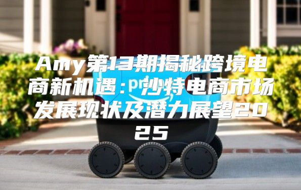 Amy第13期揭秘跨境电商新机遇：沙特电商市场发展现状及潜力展望2025