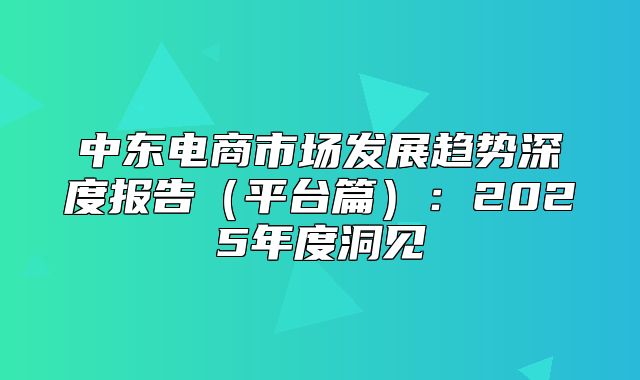 中东电商市场发展趋势深度报告平台篇：2025年度洞见