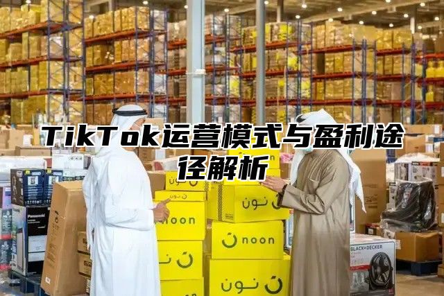 TikTok运营模式与盈利途径解析