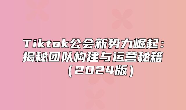 Tiktok公会新势力崛起：揭秘团队构建与运营秘籍2025版