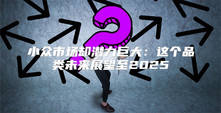 小众市场却潜力巨大：这个品类未来展望至2025