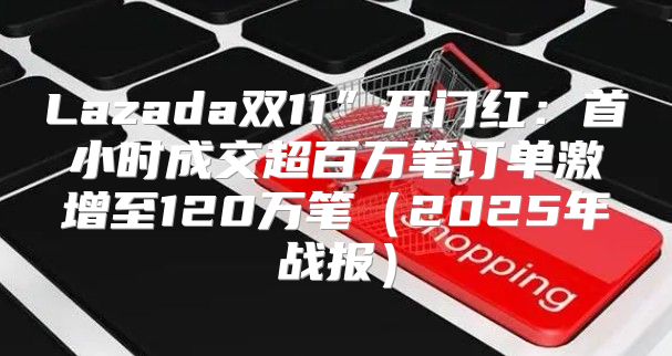 Lazada双11”开门红：首小时成交超百万笔订单激增至120万笔2025年战报