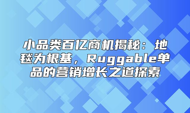 小品类百亿商机揭秘：地毯为根基，Ruggable单品的营销增长之道探索
