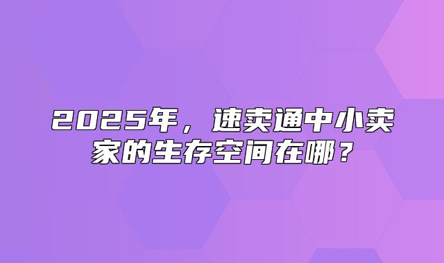 2025年，速卖通中小卖家的生存空间在哪？