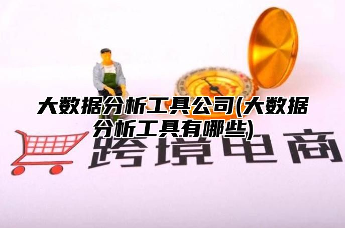 大数据分析工具公司(大数据分析工具有哪些)
