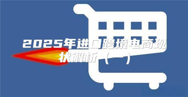2025年进口跨境电商现状解析一