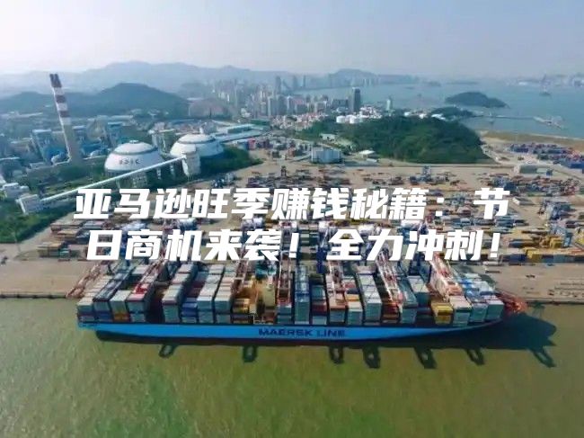 亚马逊旺季赚钱秘籍：节日商机来袭！全力冲刺！