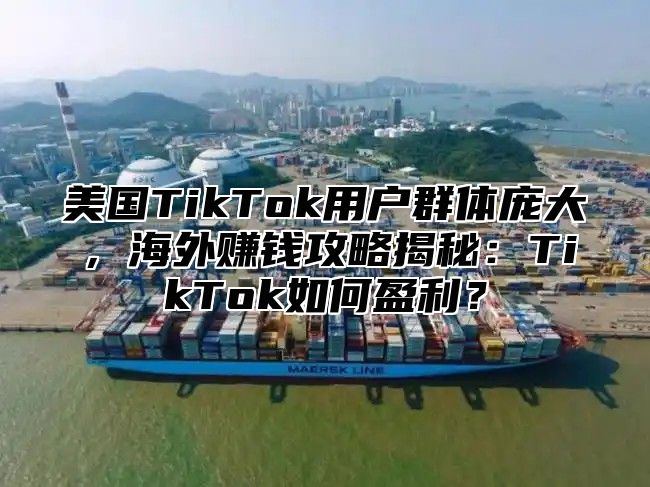 美国TikTok用户群体庞大，海外赚钱攻略揭秘：TikTok如何盈利？
