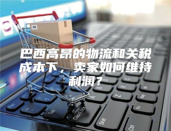 巴西高昂的物流和关税成本下，卖家如何维持利润？