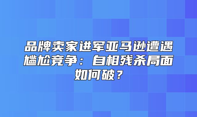 品牌卖家进军亚马逊遭遇尴尬竞争：自相残杀局面如何破？