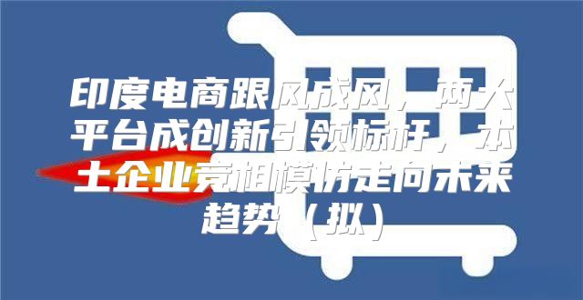 印度电商跟风成风，两大平台成创新引领标杆，本土企业竞相模仿走向未来趋势拟
