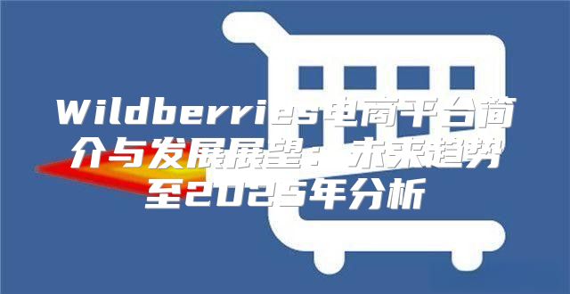 Wildberries电商平台简介与发展展望：未来趋势至2025年分析