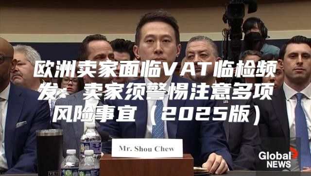 欧洲卖家面临VAT临检频发：卖家须警惕注意多项风险事宜2025版