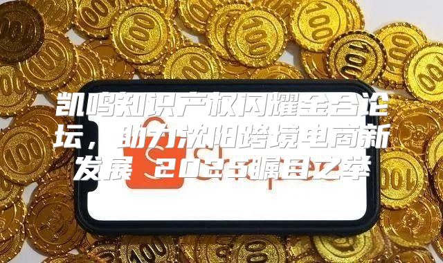 凯鸣知识产权闪耀金合论坛，助力沈阳跨境电商新发展 2025瞩目之举