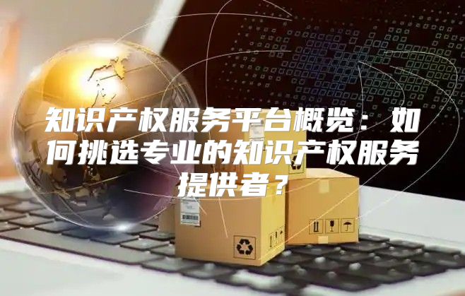 知识产权服务平台概览：如何挑选专业的知识产权服务提供者？