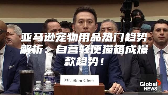 亚马逊宠物用品热门趋势解析：自营轻便猫箱成爆款趋势！