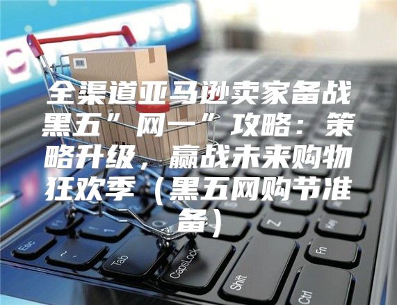 全渠道亚马逊卖家备战黑五”网一”攻略：策略升级，赢战未来购物狂欢季黑五网购节准备