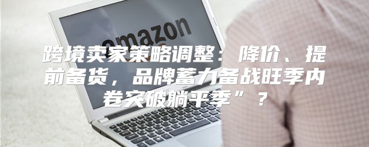 跨境卖家策略调整：降价、提前备货，品牌蓄力备战旺季内卷突破躺平季”？