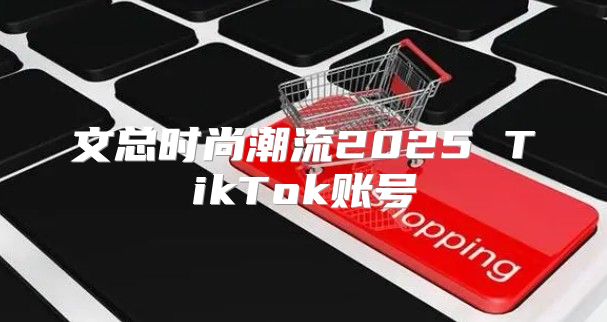 文总时尚潮流2025 TikTok账号