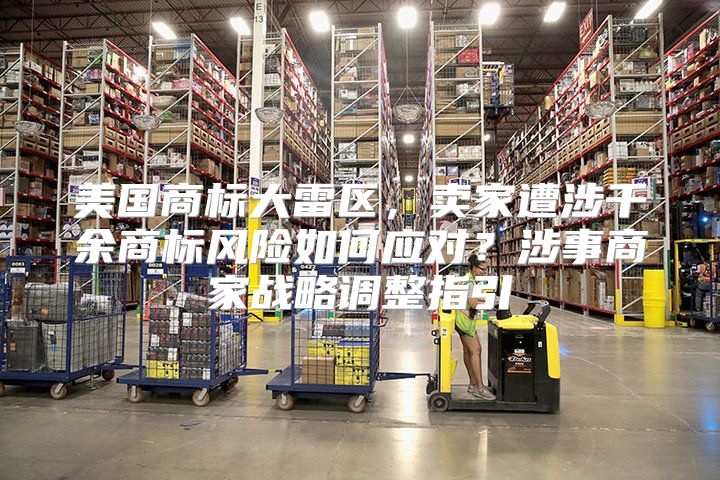 美国商标大雷区，卖家遭涉千余商标风险如何应对？涉事商家战略调整指引